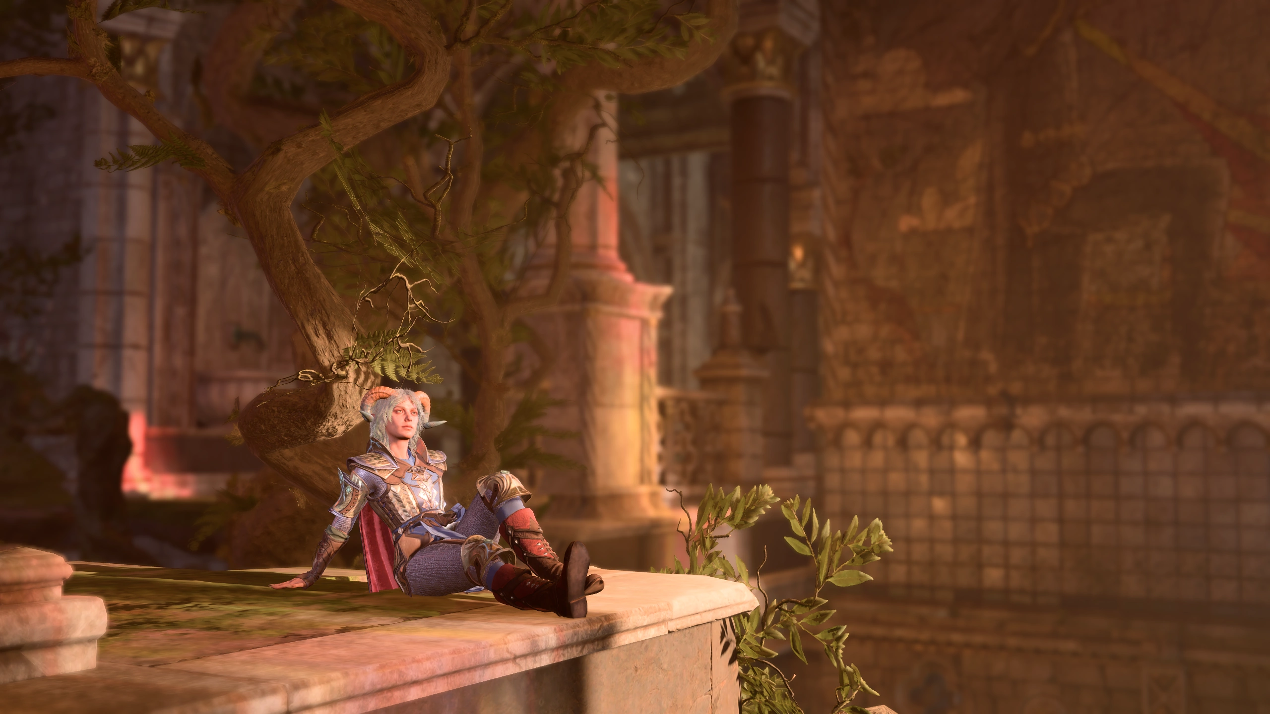 Ramie sitting on the ground in the Rosemon Monastery, in the sunlight.
